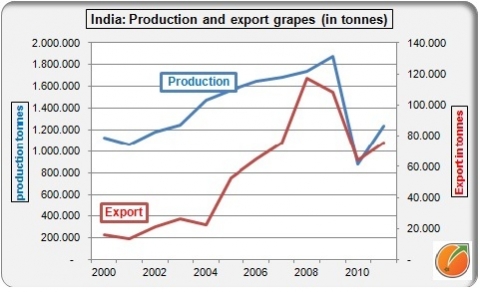 India production export grapes druiven