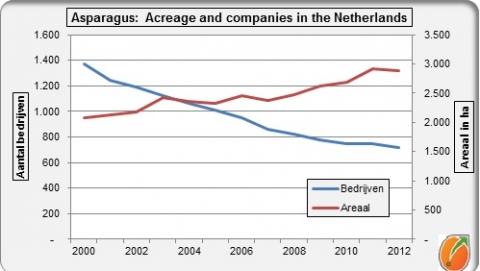 Netherlands asparagus acreage and companies