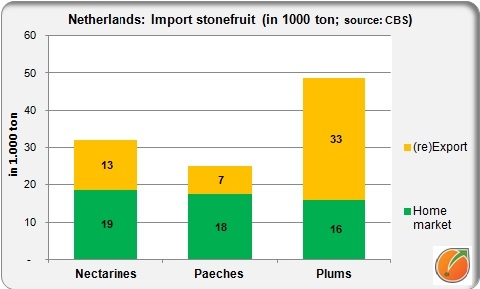 import netherlands stonfruit