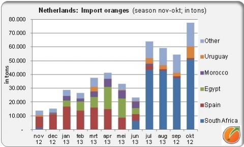 Netherlands import oranges