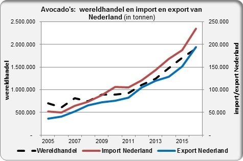 Avocado trade worldwide