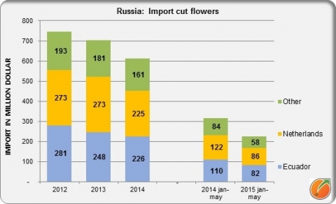 Russia import cut flowers jan may 2015