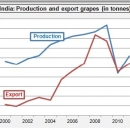 India production export grapes druiven