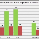 Import fresh fruit and vegetables in Russia