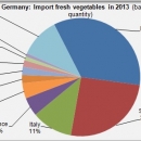 German import fresh vegetables in 2013