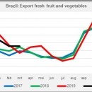 Brazil export fresh fruit and vegetables by month