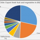 Export Chile fresh fruit and vegetables in 2022