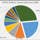 South Africa export fresh fruit 2022