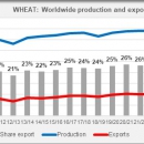 Wheat production and export