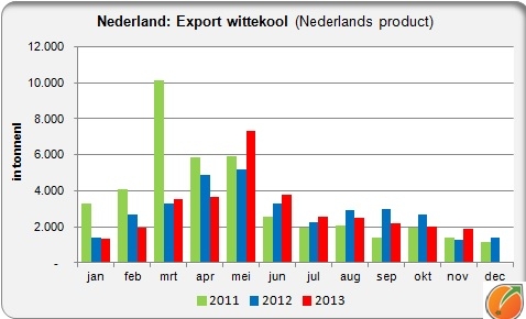 Export white cabbage
