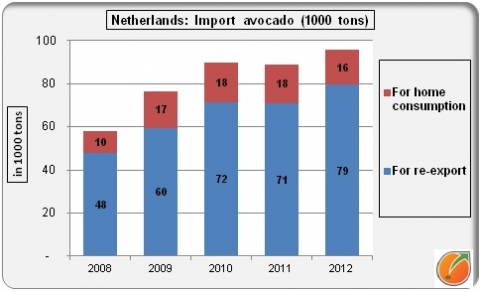 Import Nederland vooral voor re-export.