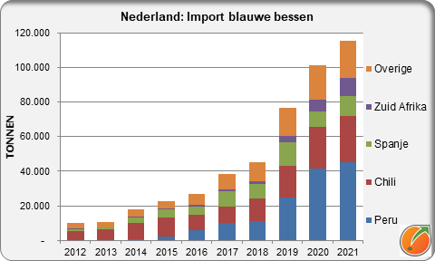 Netherlands import blueberries blauwe bessen