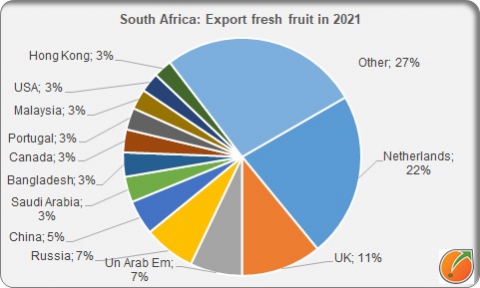 South Africa export fresh fruit in 2021