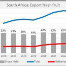 South Africa export fresh fruit