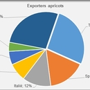Exporters apricots