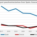 peaches nectarines export spain greece italy
